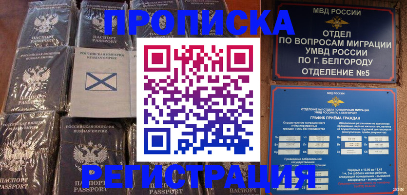 прописка гарантия в Ярославской области